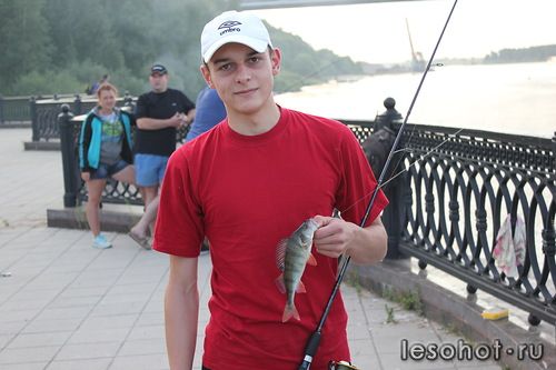 0_ad52b_554af29d_L.jpg