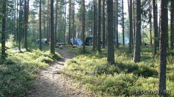 P1000772.JPG