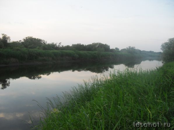 SDC11842.JPG