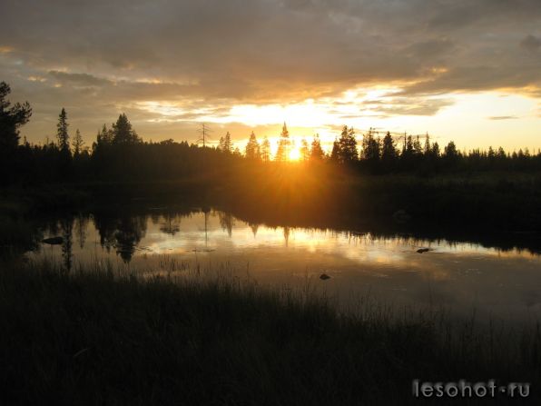 z_689680f6.jpg