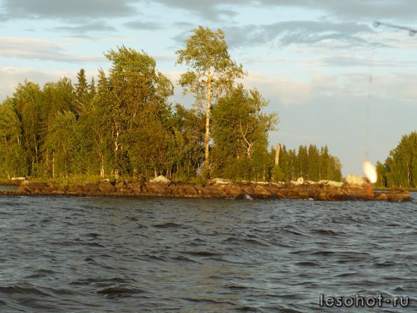 P1030058.JPG