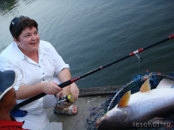  2.jpg