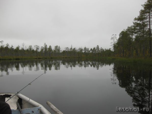 IMG_0020.JPG