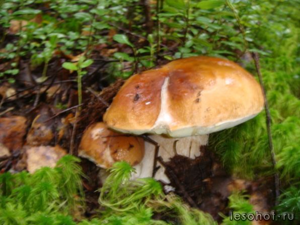 DSC03974.JPG