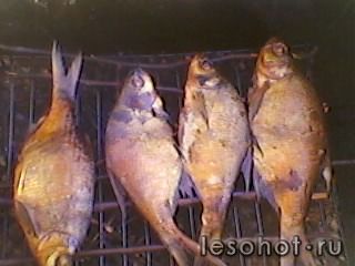 SP_A0140.jpg