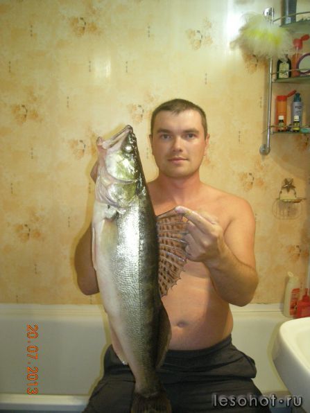 DSCN6690.JPG