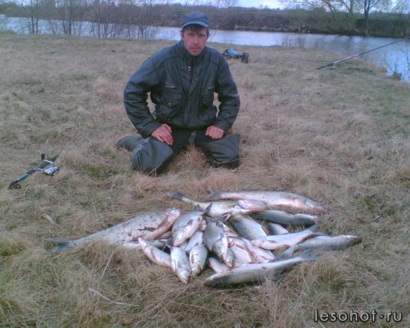 ��� �����������