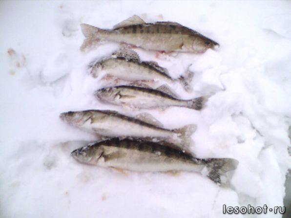 IMAGE_024.jpg