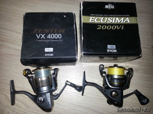 b5qgCv3roqU.jpg