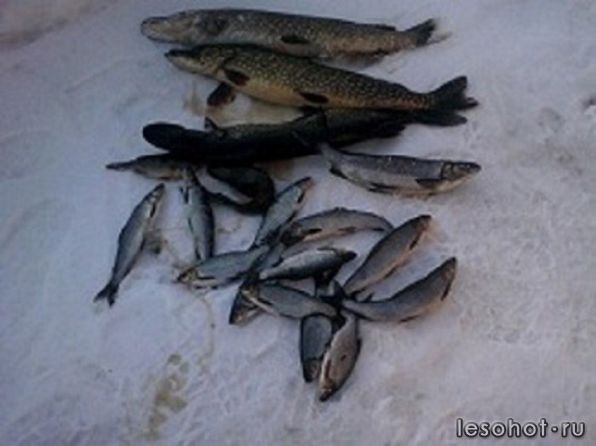 photo_00003.jpg