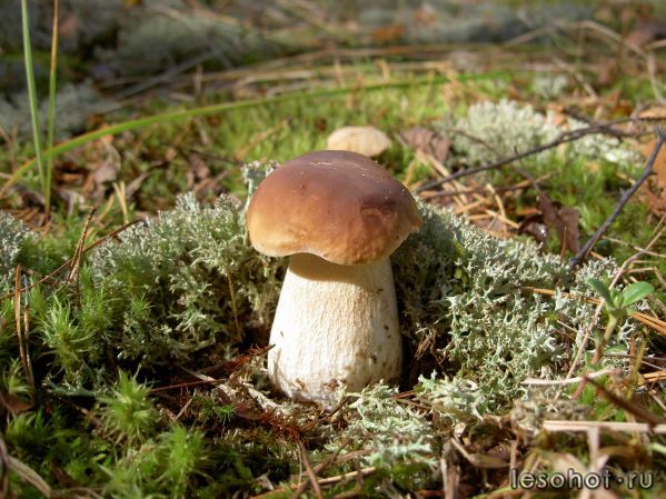 PICT0876.JPG