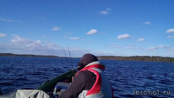 photo_00407.jpg