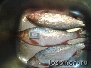 20140913_233351.jpg