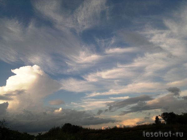 03092011224.jpg