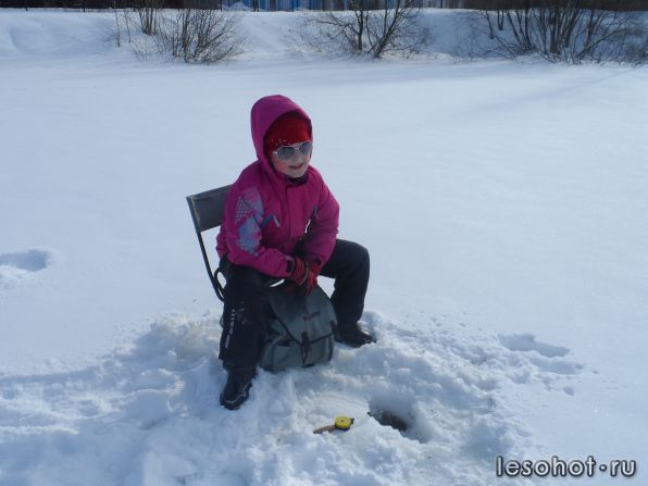 SAM_0115.JPG