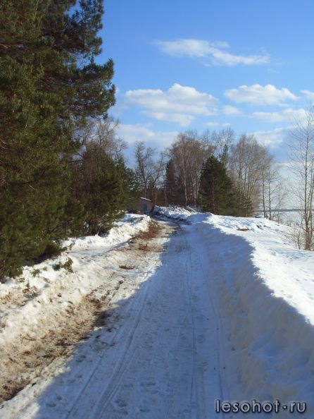 SDC19973.JPG