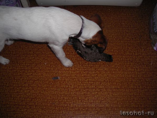 DSCN2497.JPG