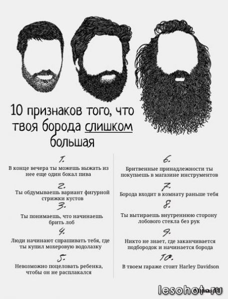 1355393814_3mexy7owrri.jpg