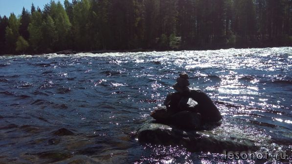 20160524_102210.jpg