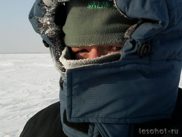 -37.jpg