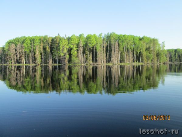 IMG_0168.JPG