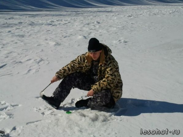 x_4581335d[1].jpg
