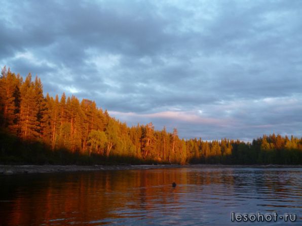 photo_00043.jpg