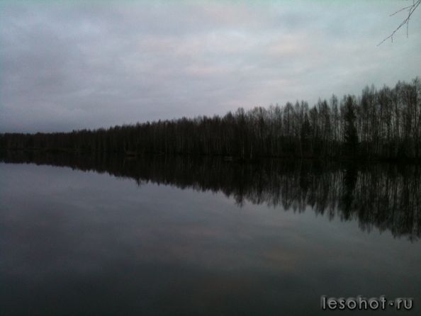 IMG_0650.jpg