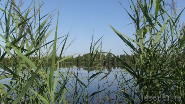 DSCF0998.JPG