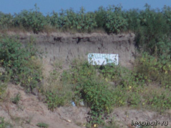  2012 224.jpg