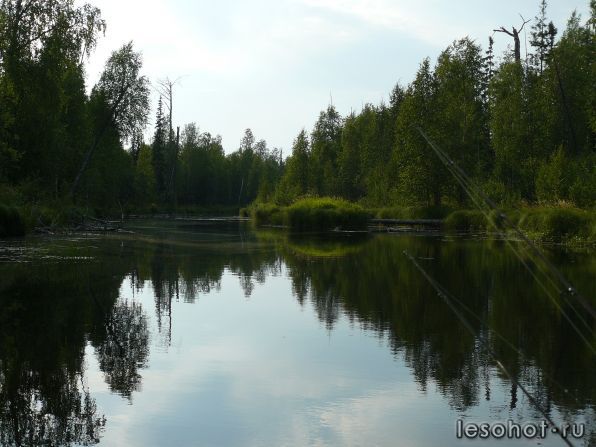 P1030033.JPG