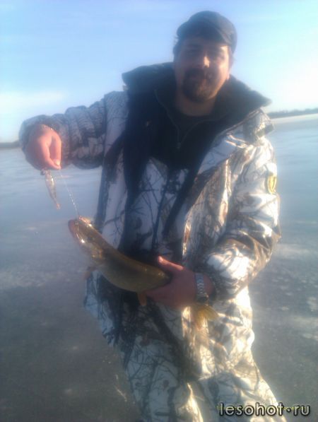 ������ (3).jpg