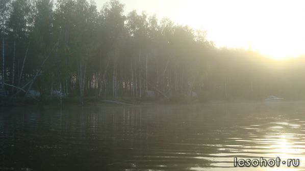 DSC05851.JPG