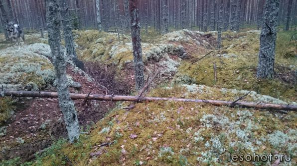 photo_00113.jpg