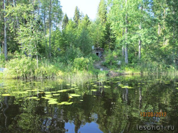 IMG_0035.JPG