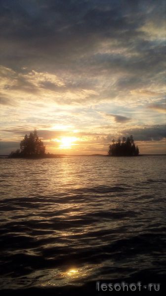 photo_00142.jpg