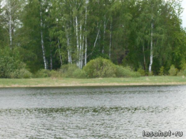 DSCN0222.JPG