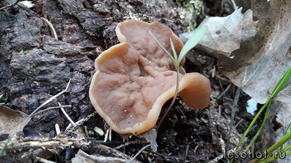 20180509_072204.jpg