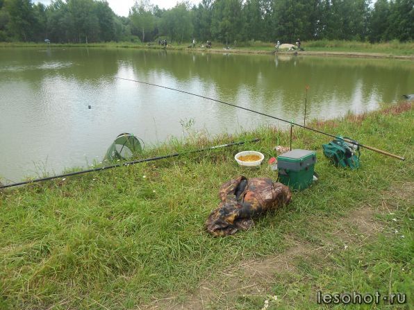 DSCN3455.JPG