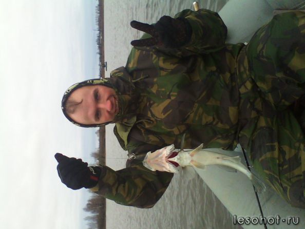 IMG_20121105_110210.jpg