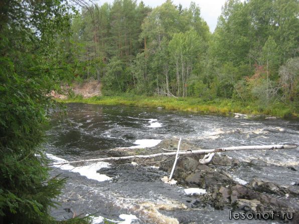 IMG_0374.JPG