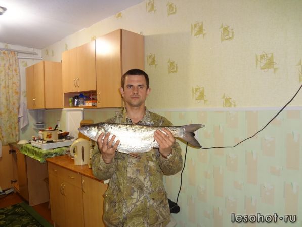 DSC00309.JPG
