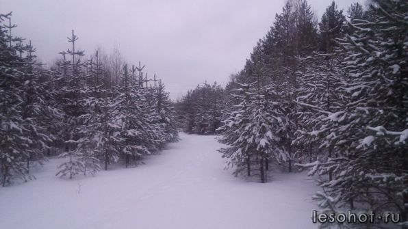 photo_00084.jpg