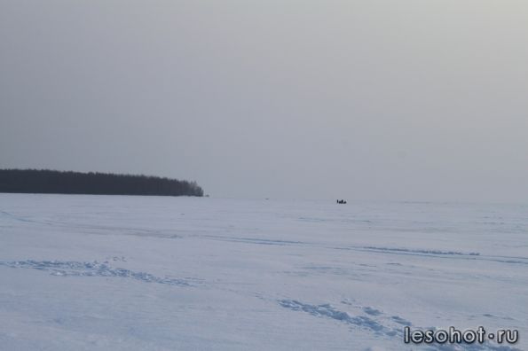 IMG_9458.jpg