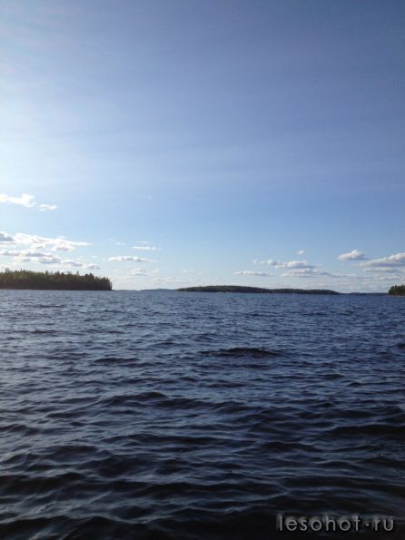 photo_00312.jpg