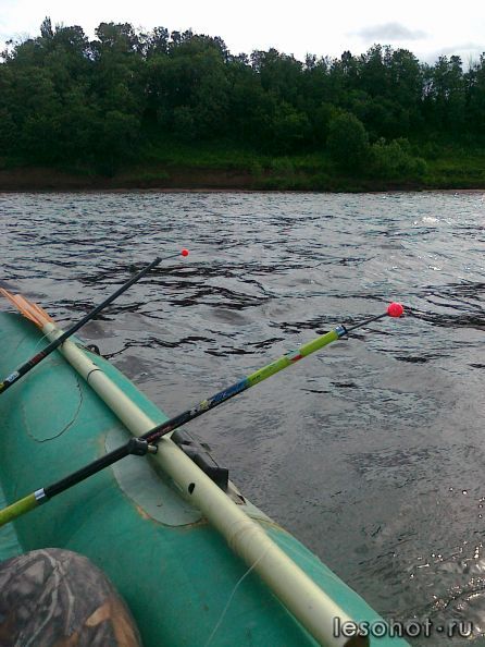 27062012302.jpg