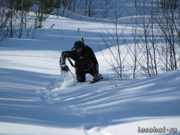 IMG_3568.JPG