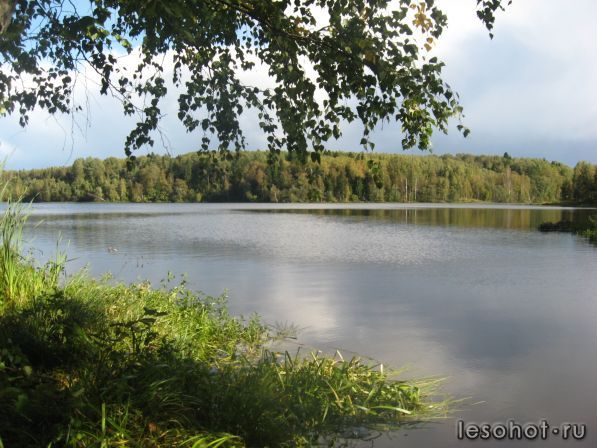 IMG_0751.JPG