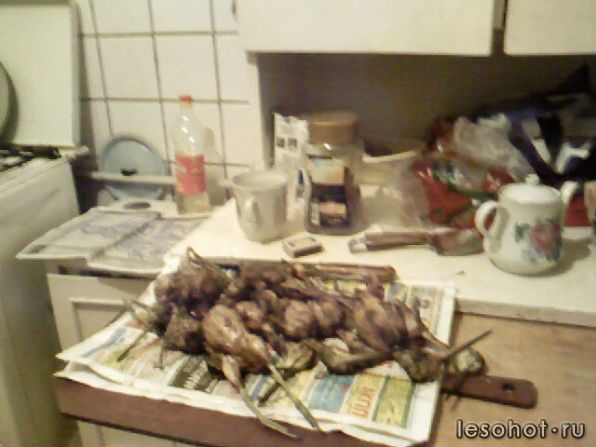 SP_A0015.jpg