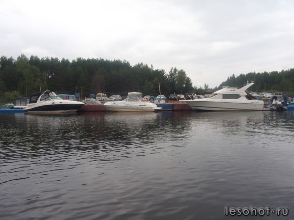DSCF2770.JPG